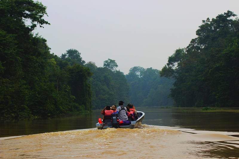 Wildlife Guides